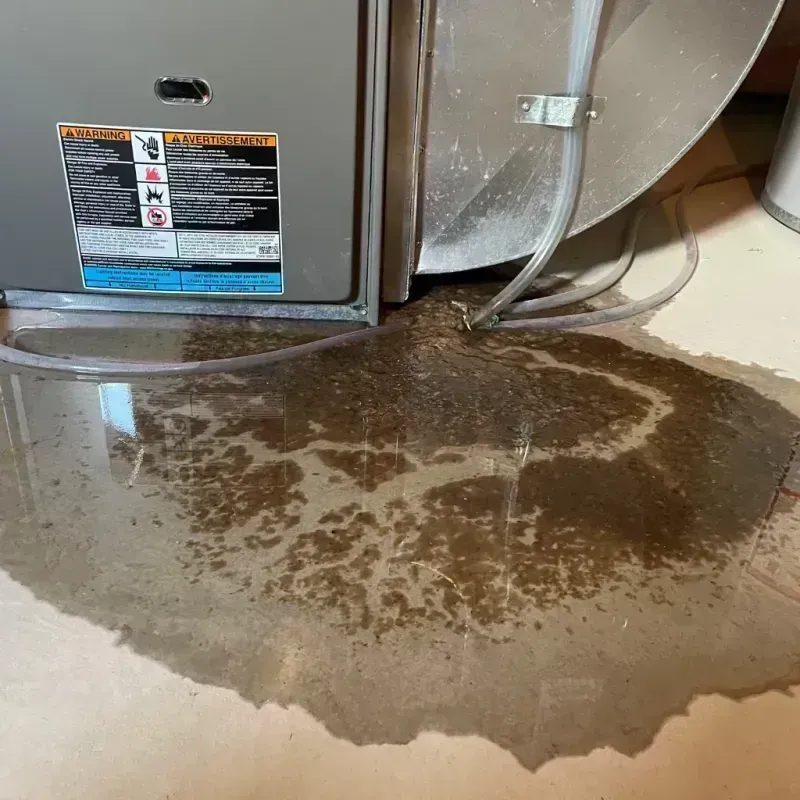 Appliance Leak Cleanup in Phelps County, MO